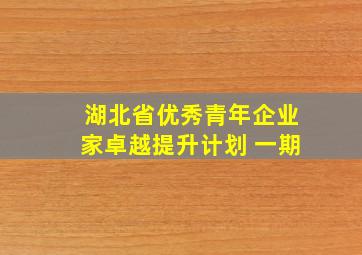 湖北省优秀青年企业家卓越提升计划 一期